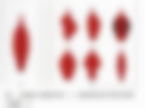 赵海光擅长项目列表