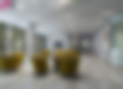 武汉新至美医疗美容门诊部核心项目