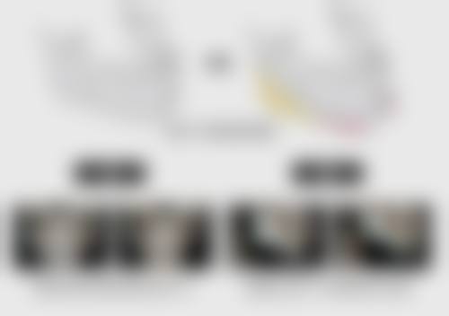 刘纯虎擅长项目列表