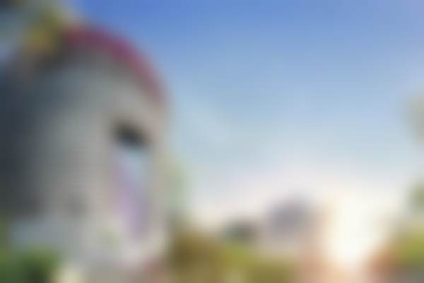 冯志勇技术水平评价