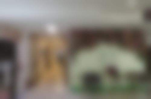 张淑婷擅长项目列表