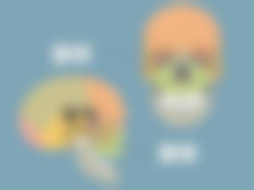 宫胜利擅长项目列表