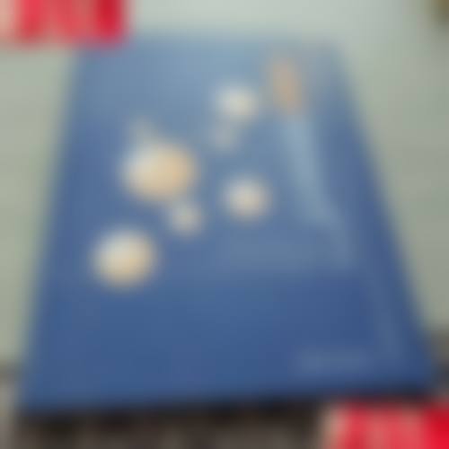 尹太俓技术水平评价