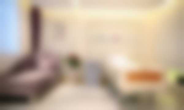 宋美技术水平评价