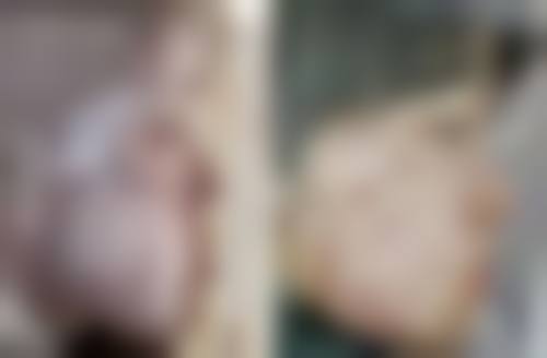 樊帆擅长项目列表