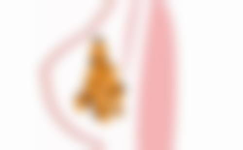 2026 佛山市妇幼保健医院项目价格参考