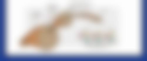 高卿豪预约方式及价格表