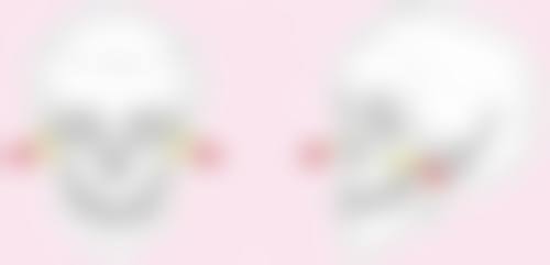 高卿豪擅长项目列表