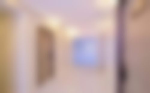 李洛娜技术水平评价