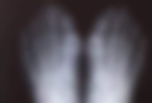 严卓鑫技术水平评价