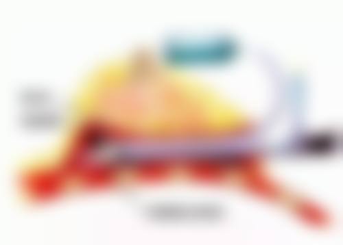 朴永佑擅长项目列表
