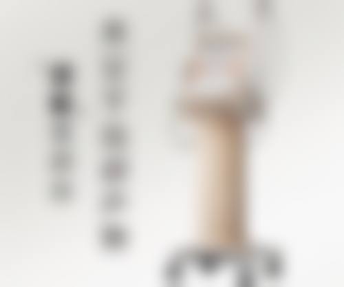孔莉患者评价