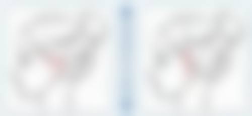 樊帆擅长项目列表