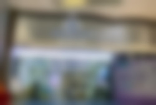 【深圳智美秀医疗美容诊所擅长项目有哪些?】