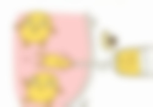 吐鲁番市人民医院整形外科