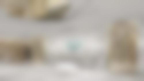 蔡丽娜