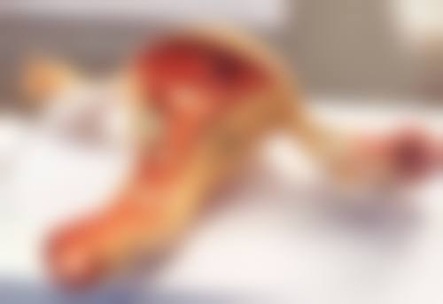 【二、重庆厚爱牙科医疗诊所擅长诊疗项目有哪些】