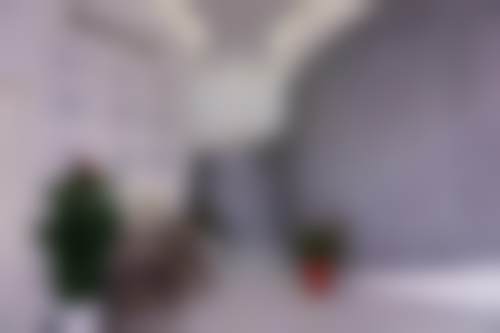 李晓娇