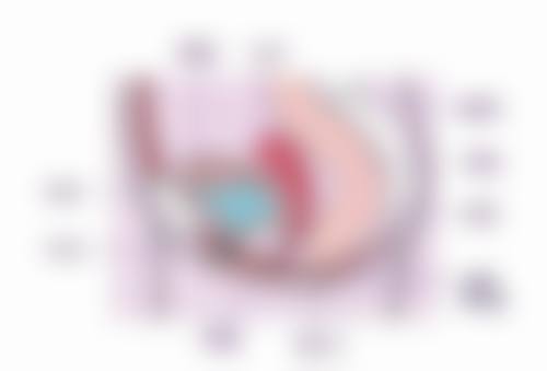 【二、深圳尚虹医疗美容门诊部擅长诊疗项目有哪些】