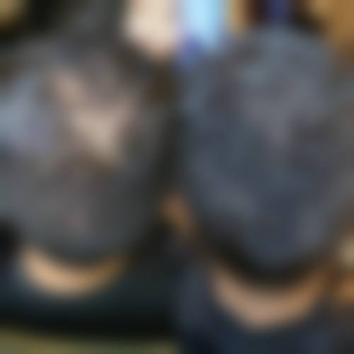 预约方式