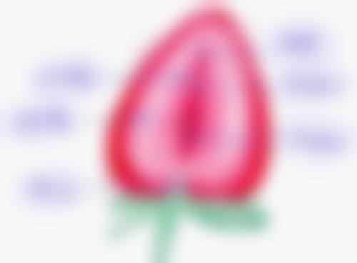 韩国三一女性医院常见问题FAQ
