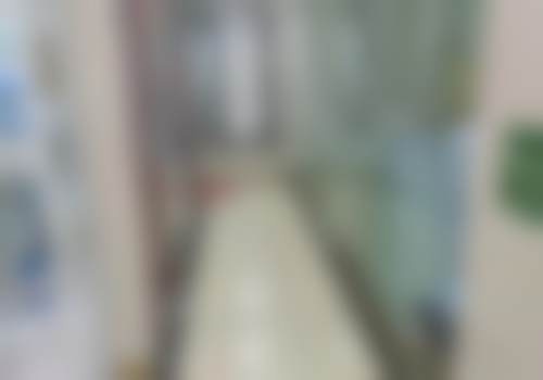 擅长项目及技术特色