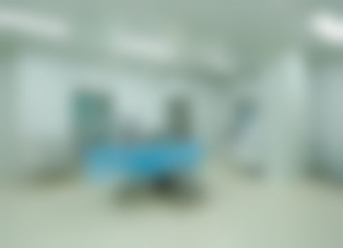 擅长项目及技术特色