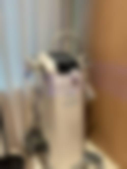 总结