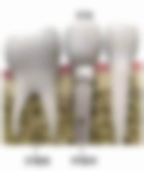 肥城微笑口腔诊疗服务场景