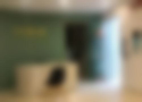上海于宁口腔诊所擅长项目与技术特色解析
