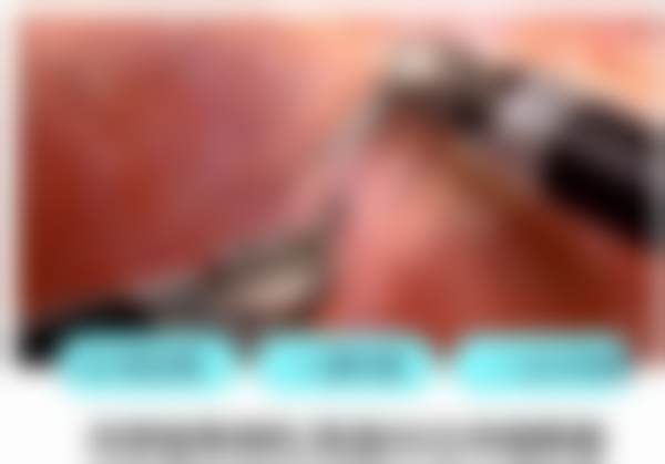 高频问答与注意事项