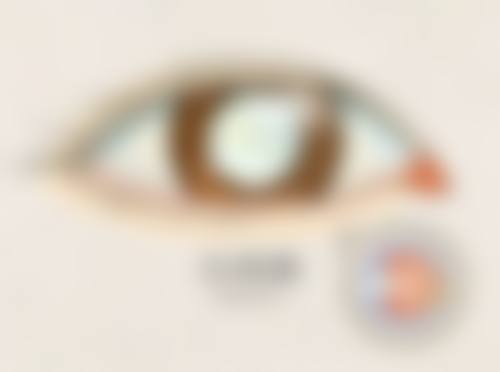 安徽医 科 大学附属阜阳医院眼科口碑评价真实分享