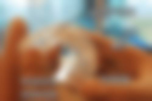 呼伦贝尔鑫富强口腔常见问题FAQ