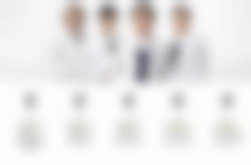擅长项目及技术特色