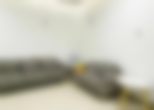 擅长项目及技术特色