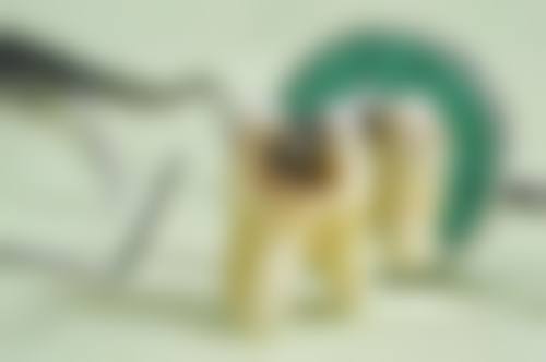 柳州牙丽安口腔门诊部交通指引与便捷预约方式