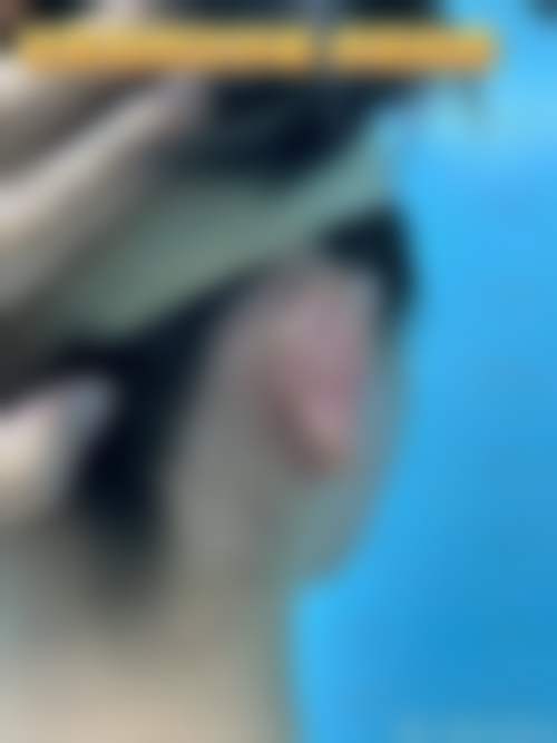 总结