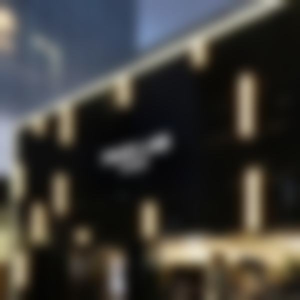 擅长项目及技术特色
