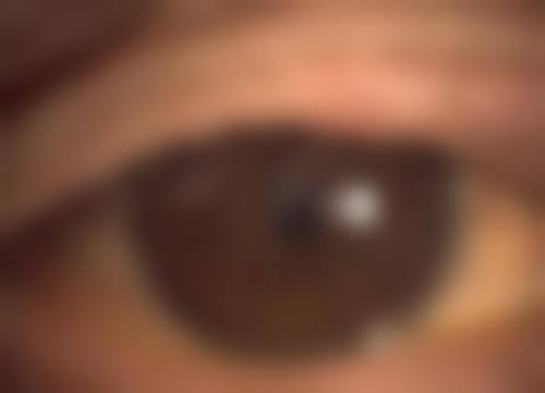 总结