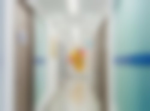 收费价格体系与性价比分析