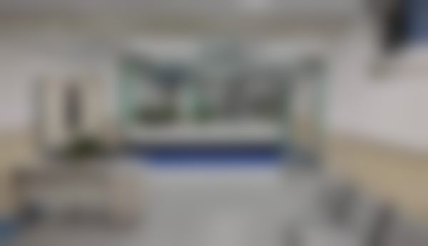 擅长项目及技术特色